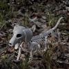 imageJOYIN Wiener Dog Skeleton 24 Plastic Animal Posable Skeleton Halloween Decorations with Movable Joints for Graveyard Scenes Haunted House Prop Party Decor Spooky Indoor Outdoor Decorations
