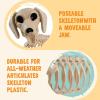 imageJOYIN Wiener Dog Skeleton 24 Plastic Animal Posable Skeleton Halloween Decorations with Movable Joints for Graveyard Scenes Haunted House Prop Party Decor Spooky Indoor Outdoor Decorations