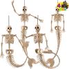 imageJOYIN 4 PCS 20 Mermaid Skeleton Hanging Plastic Bones Halloween Decorations with Posable Joints for Indoor Outdoor Photo Props Graveyard Trick or Treat Decor Spooky Scene Party Favors4