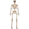 imageJOYIN 5 FT Halloween Skeleton Life Size Stayable Posable Skeleton Decor Full Body Movable Joints Giant Skeletons for Halloween Decoration Outdoor Haunted House Prop Spooky Scary Graveyard PartySpooky Skeleton