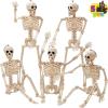 imageJOYIN 5 PCS Posable Halloween Skeleton Decor 16 Inches Full Body Posable Joints Hanging Skeletons for Halloween Decorations Graveyard Props Haunted House Accessories Spooky Scene Party FavorsOriginal