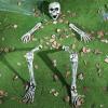 imageJOYIN 5 Pcs Halloween Skeleton Decorations Outdoor Life Size Skeleton Yard Stakes Groundbreaker Skulls Decor for Graveyard Yard Lawn Garden Ground Party SuppliesRealistic Skeleton