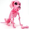 imageJOYIN Posable Dog Skeleton Halloween Decoration Full Body Movable Joints Realistic Skeleton Puppy for Indoor Outdoor Graveyard Party Haunted House Party Decor98 X 47 X 126