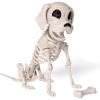 imageJOYIN Posable Halloween Dog Skeleton Full Body Posable Joints Realistic Skeleton Puppy with Movable Joints for Halloween Decoration Graveyard Party Decor 98 X 47 X 126
