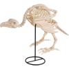 imageJOYIN Vulture Skeleton Halloween Decorations 197 inch Posable Animal Skeletons with Movable Joints for Indoor Outdoor Yard Garden Lawn Photo Props Decor Trick or Treat Spooky Scene Party Favors