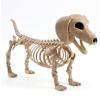 imageJOYIN Wiener Dog Skeleton 24 Plastic Animal Posable Skeleton Halloween Decorations with Movable Joints for Graveyard Scenes Haunted House Prop Party Decor Spooky Indoor Outdoor Decorations