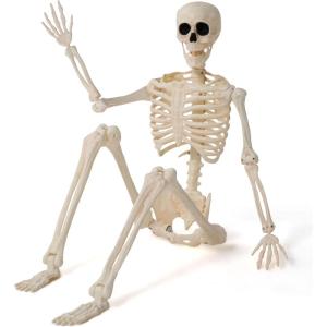 imageJOYIN 10 PCS 16quot Halloween Skeleton Decor Full Body Stayable Movable Joints Posable Hanging Skeletons for Halloween Decoration Yard Graveyard Haunted House Props Spooky Scene Party Favor36 inches