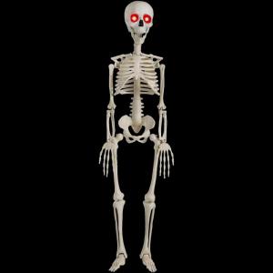 imageJOYIN 36 Halloween Skeleton Decorations with Red LED Light Eyes Plastic Bones with Movable
