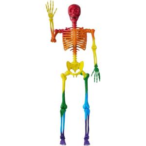imageJOYIN 56 FT Halloween Posable Life Size Skeleton Full Body Realistic Bones with Movable Joints Giant Skeletons Halloween Decorations for Indoor Outdoor Haunted House Props Spooky Scene Party DecorRainbow