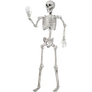 imageJOYIN 56 FT Halloween Posable Life Size Skeleton Full Body Realistic Bones with Movable Joints Giant Skeletons Halloween Decorations for Indoor Outdoor Haunted House Props Spooky Scene Party DecorWhite
