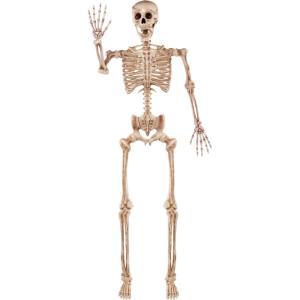 imageJOYIN 56 FT Halloween Posable Life Size Skeleton Full Body Realistic Bones with Movable Joints Giant Skeletons Halloween Decorations for Indoor Outdoor Haunted House Props Spooky Scene Party DecorYellow