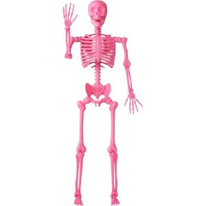 imageJOYIN 56 FT Halloween Posable Life Size Skeleton Full Body Realistic Bones with Movable Joints Giant Skeletons Halloween Decorations for Indoor Outdoor Haunted House Props Spooky Scene Party DecorPink