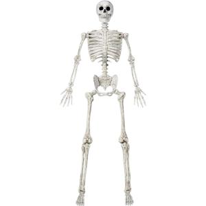imageJOYIN 69 FT Halloween Posable Life Size Skeleton Full Body Realistic Skeleton Bones with Movable Joints for Halloween Indoor Outdoor Party Decoration Spooky Scene Prop Haunted House Decor YellowWhite