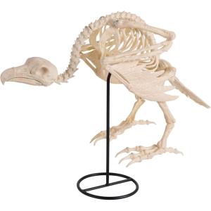 imageJOYIN Vulture Skeleton Halloween Decorations 197 inch Posable Animal Skeletons with Movable Joints for Indoor Outdoor Yard Garden Lawn Photo Props Decor Trick or Treat Spooky Scene Party Favors