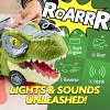 imageJOYIN 13 in 1 Dinosaur Toys for Kids 35 Dinosaur Truck with 12 Pull Back Cars Birthday Gifts Toys for 3 4 5 Year Old Boy Transport Carrier Truck for Toddlers Christmas Great Gifts for GrandkidsTyrannosaurus Truck