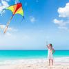imageJOYIN 3 Packs Large Delta Kite Green Blue and Rainbow Easy to Fly for Kids with 2625 ft String Large Delta Beach Kite for Outdoor Games and Activities