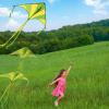 imageJOYIN 3 Packs Large Delta Kite Green Blue and Rainbow Easy to Fly for Kids with 2625 ft String Large Delta Beach Kite for Outdoor Games and Activities