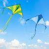 imageJOYIN 3 Packs Large Delta Kite Green Blue and Rainbow Easy to Fly for Kids with 2625 ft String Large Delta Beach Kite for Outdoor Games and Activities