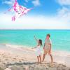 imageJOYIN 433 Giant Unicorn Kite Easy to Fly for Kids and Adults with 2625 ft String Large Beach Kite for Outdoor Games and Activities