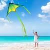 imageJOYIN Large Delta Kite Red Green and Purple Easy to Fly Huge for Kids and Adults with 2625ft String Large Delta Beach Kite for Outdoor Games and ActivitiesGradient by Line