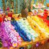 imageJoyin Toy 36 Counts Hawaiian Leis Bulk Tropical Flower Lei Hawaiian Lei Beach Hawaii Luau Party Favors Decoration Birthday Party Supplies3 Dozen