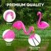 imageJOYIN Set of 6 Small Pink Flamingo Yard Ornament Stakes Mini Lawn Plastic Flamingo Statue with Metal Legs for Sidewalks Outdoor Garden Luau Party Tropical Party Decor 2 Styles
