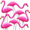 imageJOYIN Set of 6 Small Pink Flamingo Yard Ornament Stakes Mini Lawn Plastic Flamingo Statue with Metal Legs for Sidewalks Outdoor Garden Luau Party Tropical Party Decor 2 Styles