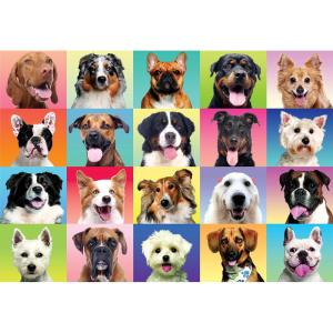 imageJOYIN 300 pcs Multicolor Dogs Puzzles Jigsaw Puzzle for Kids and Adults276quot x 197quot Puppy Theme Puzzles for Teens Collection Gift Home Art Decor