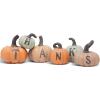 imageTHANKS pumpkin decoration  Thanksgiving 6 pcs Handpainted pumpkins fall house decor for Thanksgiving Harvest Day tabletop collection kitchen living room bedroom
