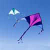 imageJOYIN 2 Packs Large Delta Kite Blue and Purple Kite Easy to Fly Huge Kites for Kids and Adults with 2625 ft Kite String Large Delta Beach Kite for Outdoor Games and Activities