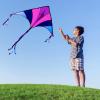 imageJOYIN 2 Packs Large Delta Kite Blue and Purple Kite Easy to Fly Huge Kites for Kids and Adults with 2625 ft Kite String Large Delta Beach Kite for Outdoor Games and Activities