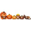 imageJOYIN 6 Pcs Thanksgiving Turkey Pumpkin Figurine Decoration Fall Home Decor Figurine for Thanksgiving Party Harvest Day Kitchen Tabletop Ornament and Autumn