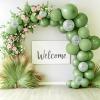 imageJOYIN 150 Pcs Sand White Balloons Different Sizes 18 12 10 5 Inch Sand White Latex Balloon Arch Kit with Instruction for Birthday Party Graduation Wedding Holiday DecorationSage Green