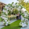 imageJOYIN 150 Pcs Sand White Balloons Different Sizes 18 12 10 5 Inch Sand White Latex Balloon Arch Kit with Instruction for Birthday Party Graduation Wedding Holiday DecorationSage Green
