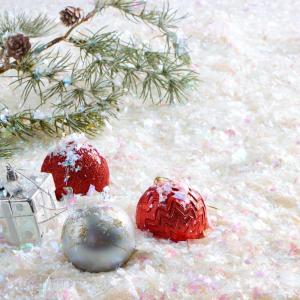 imageJOYIN 2 Pack 10 Oz Artificial Dry Plastic Snow 280g Plastic Artificial Snowflakes for Christmas Tree Decoration Party Home Holiday Decor and White DisplaysColorful