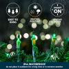 imageJOIEDOMI Christmas String Lights Indoor100 Count Mini Warm Fairy Light215FT Lighting Decor for Patio Dorm Classroom Bedroom Holiday Wedding Party Garland Birthday Festival Valentines DayWhite WireGreen