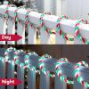 imageJoiedomi 40FT LED Candy Cane Rope Lights Waterproof Outdoor 360 LED Christmas Decor Lights for Garden Yard Party Xmas Christmas Holiday Decorations Red ampamp Warm WhiteRed  Green  Cool White