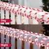 imageJoiedomi 40FT LED Candy Cane Rope Lights Waterproof Outdoor 360 LED Christmas Decor Lights for Garden Yard Party Xmas Christmas Holiday Decorations Red ampamp Warm WhiteRed  Cool White