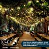 imageJoiedomi Clear Christmas String Lights Indoor2002x100 Mini Warm White Fairy Light428 FT Lighting Decor for Patio Dorm Classroom Bedroom Holiday Wedding Party Garland Birthday FestivalGreen Wire100 Lights3 Pack