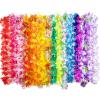 Hawaiian-12Pcs
