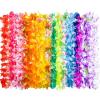Hawaiian-24Pcs