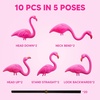 image:imageJOYIN 10 Pack Small Yard Flamingos Ornament Stakes Mini Pink Flamingo Yard Decorations Mini Lawn Plastic Flamingo Statue with Rubber Coating Metal Legs for Outdoor Garden Luau Party Gift 310IN
