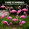 image:imageJOYIN 10 Pack Small Yard Flamingos Ornament Stakes Mini Pink Flamingo Yard Decorations Mini Lawn Plastic Flamingo Statue with Rubber Coating Metal Legs for Outdoor Garden Luau Party Gift 310IN