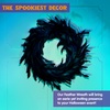 image:imageJOYIN 135 Black Natural Feathers Wreath for Halloween Decorations Spooky Scene Party Favors Halloween Photo Props Trick of Treat Front Door Porch Window Indoor Outdoor Party Decorations
