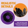 image:imageJOYIN 135 Black Natural Feathers Wreath for Halloween Decorations Spooky Scene Party Favors Halloween Photo Props Trick of Treat Front Door Porch Window Indoor Outdoor Party Decorations